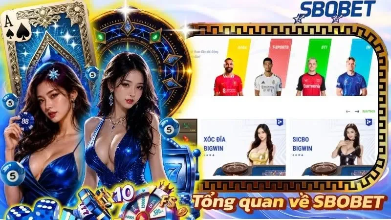 Nền tảng giải trí đứng đầu sở hữu hệ sinh thái đa dạng cùng nhiều tính năng nổi bật